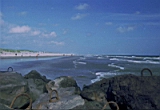 strand 2.jpg